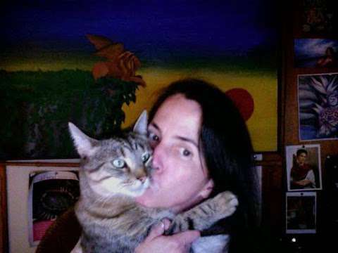 Quality Cat Care - Cat Sitting & Boarding (Diane Gordon) Quality Cat Care - Cat Sitting & Boarding (Diane Gordon)